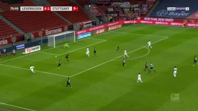 WHlTE - Bayer Leverkusen 4:[2] Stuttgart - Saša Kalajdžić x2
#bayerleverkusen #stutt...