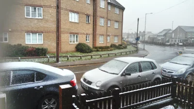 kamolek - Ostatnio widzialem tyle sniegu w Anglii(Essex) w 2014 roku. ʕ•ᴥ•ʔ 
#zima #u...