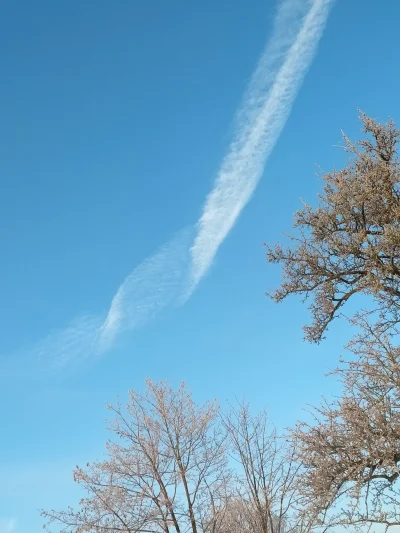 ThEND_22 - Takie #chemtrails u mnie robią, ale oczywiście to normalne spaliny po samo...