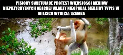 AveCezariusz - #bekazpisu #bekazprawakow #urojeniaprawakoidalne #tv #media #protest #...