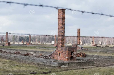 SebaD86 - Możecie mi powiedzieć co z tymi ruinami kominów jest nie tak, że aż są za d...