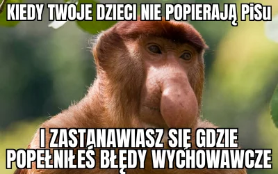 Adriian321 - #bekazpisu #tvpis #nosaczsundajski #nosacz #protest