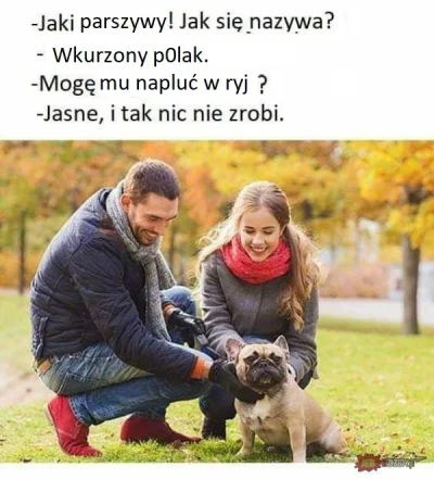 R.....l - I tak polaczki oddacie głos na JarKacza, bo kto tyle doł, a inni to dzieci ...