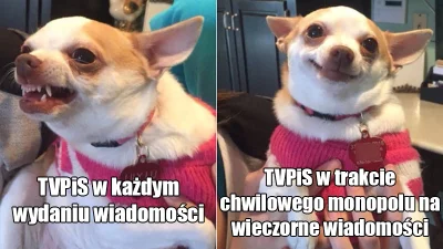 strusmig - To tyle jeśli chodzi o dzisiejsze wydanie wiadomości xD
#tvpis