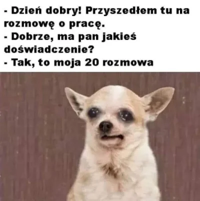 suqmadiq2ama - #hr #pracbaza #smiesznypiesek #heheszki #humorobrazkowy