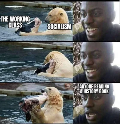 Ursa_Major - Nienawidzę socjalizmu