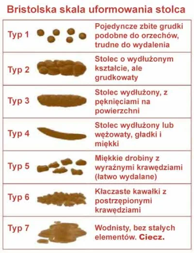 l.....q - Którym stolcem dziś jesteś według skali bristolskiej