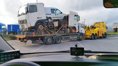 goferek - BRATA GUMIAKA BELGIJSKA PSIARNIA HYTŁA
ONI JEMU MUWIO ŻE TAK NIEMORZNA JEC...