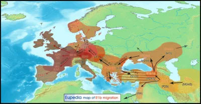 orkako - Tutaj jest informacja o tym:
https://en.wikipedia.org/wiki/Listofhaplogroup...