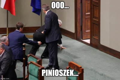 YogiYogi - @npwjsn: I tu też pinioszek...