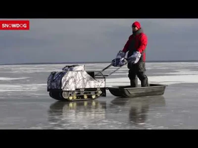 starnak - Trochę mniejsza skala.