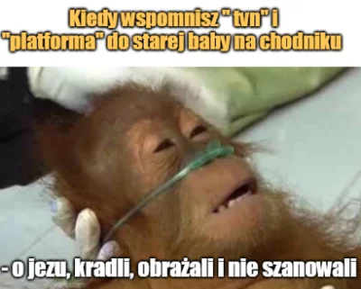 Mescuda - #truestory #bekazpisu #tvpis #heheszki