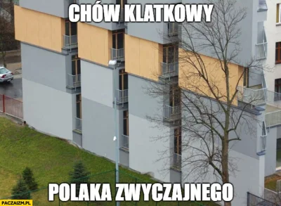 Tommy__ - Polska pionierem narodów ( ͡° ͜ʖ ͡°)