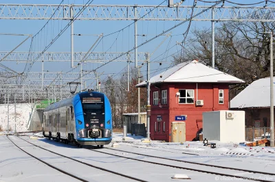 choochoomotherfucker - Akurat Flirta nie widziałam, ale trafił się m.in. Elf 2.