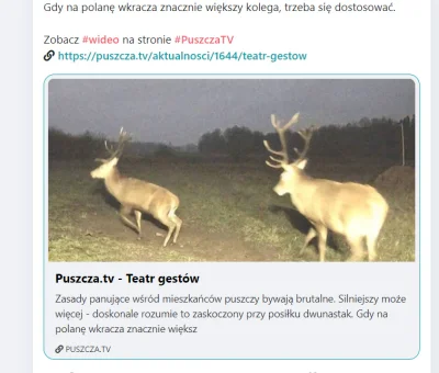 grzechu199 - Dzięki za odp. Pozwolicie, że podepnę się pod post.
Może wiecie jak zro...