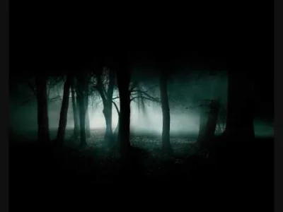 Robciqqq - Ludique - Lost in the Woods

#muzyka #idm #minimal #ambient #muzykaelekt...