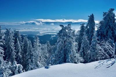 dzana - Moje niedzielne wejście zimowe na Turbacz. W tle widok na Tatry

#mojezdjecie...