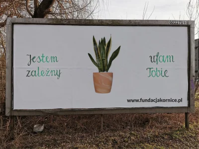 KomosaBiala - Wkurzają mnie te plakaty porozwieszane po całym Wrocławiu. "Jestem zale...
