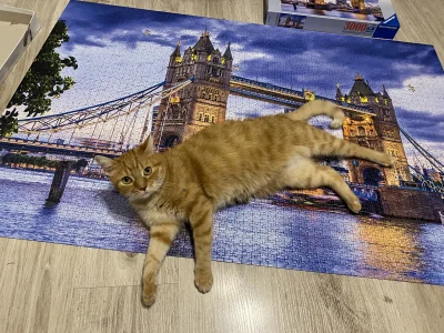 agaaa_ - #puzzle #kitku kolejne 3k ułożone