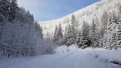 kubasgce - Beskid Żywiecki
Fajna pogoda się trafiła w niedzielę :)