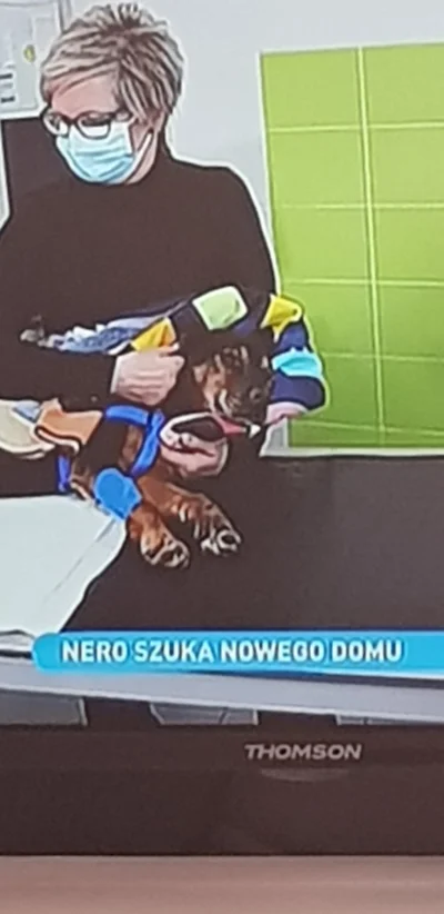 ZakazSkretuwLewo - Nero szuka nowego domu. Myślę, że Szkolna 17 w Białymstoku to odpo...