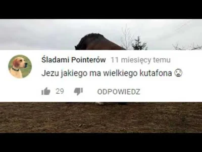 szczesliwa_patelnia - Na głównej i nikt jeszcze nie wrzucił? ( ͡° ͜ʖ ͡°)