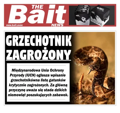 itsaBAIT - Nigdy nie stawaj między niemowlęciem a jego zabawką (ʘ‿ʘ)

#thebaitnews ...