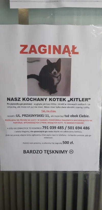 perasperaadopelastra - HALO WARSZAWA, HALO ŻOLIBORZ - KITKU ZGINĘŁO ! 
SPOILER

#w...