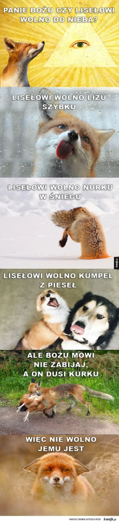 antkowa - @Androvax: lisu wolno lizu szybku (｡◕‿‿◕｡)