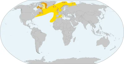 Lifelike - Zasięg występowania (obszary lęgowe - pomarańczowy, zimowiska - żółty, prz...