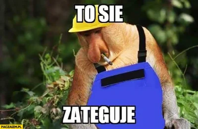 januszzczarnolasu - @login-jest-zajety: Na wszelkie patologie jest jedna skuteczna me...