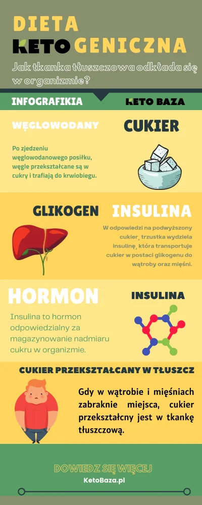 KetoBaza - #ketobaza #keto #ketoza #infografika #chudnijzwykopem #dieta #ciekawostki