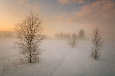 vitoosvitoos - Liczyłem na ładne kolorki na niebie, a trafiłem na… mgłę. Zdziwiła mni...