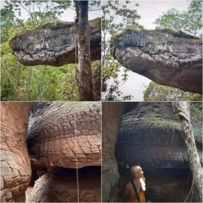 pcstud - Jaskinia w Tajlandii wygląda jak gigantyczny skamieniały wąż
#ciekawostki #...