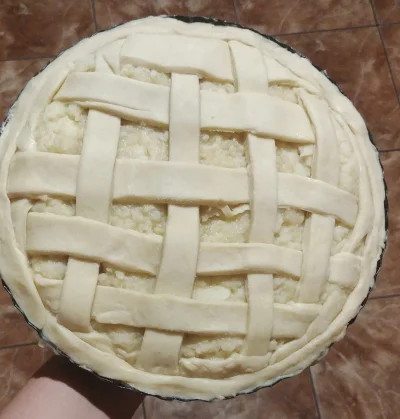Luna98x - Pierwsze apple pie wlatuje do piekarnika 乁(♥ ʖ̯♥)ㄏ

#pieczzwykopem #gotujzw...