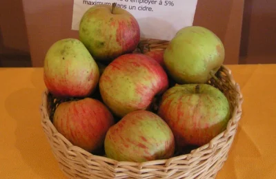 MateuszSobierajRIGCz - Nazwa gatunkowa: Jabłoń domowa (Malus domestica Borkh.).

Na...