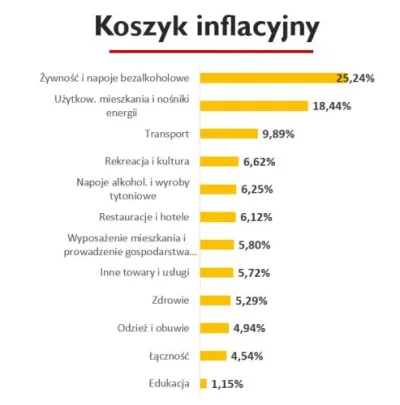 Phallusimpudicus - Podajecie tylko te 2 pierwsze (income roczny + wydatki roczze) i w...