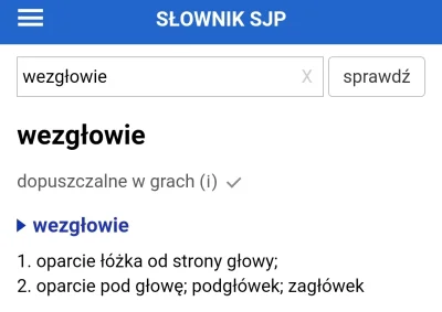 zagu - @Bunch: Normalne określenie funkcjonujące w języku polskim ¯\\(ツ)\/¯