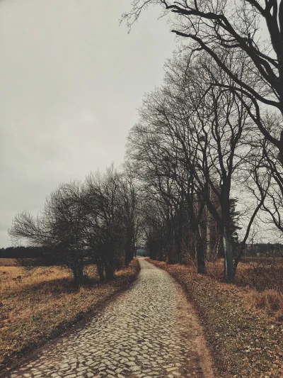 kuraku - Kilka kilometrów bruku.