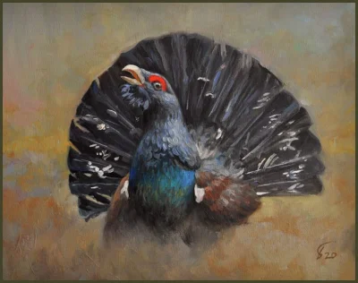 pytlowany - #zwierzeta
#ptaki
#malarstwo #art #sztuka Głuszec I, olej, płótno, mal....