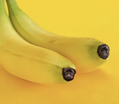 Paula_pi - Jaki jest Twój stosunek do bananów?