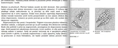 DonMirabello - @dzikuZplasriku: Cały rozdział jest o tym że po przecięciu płaziniec s...