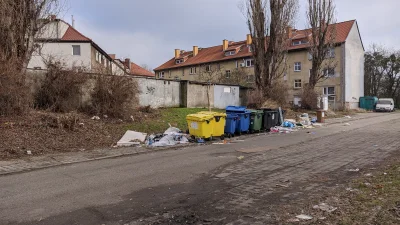 Chochla - Rano będąc w Nowym Porcie wpadłem na pomysł, że może by przystroić te piękn...