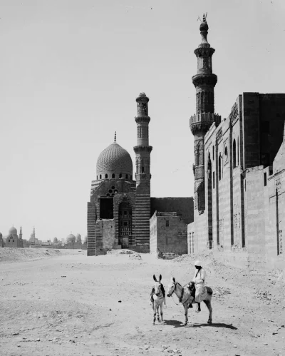 myrmekochoria - Kair, 1900.

#starszezwoje - tag ze starymi grafikami, miedziorytam...