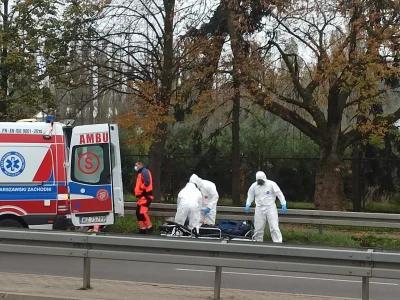 C.....k - Szpitale zaczynają wyrzucać zwłoki przy drogach bo nie ma już miejsca w kos...