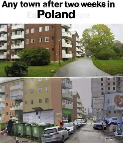 dzoli - #polska #heheszki (✌ ﾟ ∀ ﾟ)☞