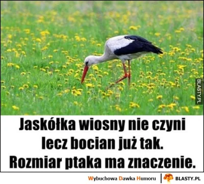 januszzczarnolasu - @rencista: Wiosna za pasem ( ͡° ͜ʖ ͡°)