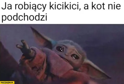 wfyokyga - Tak mam z kotem sąsiadów, patrzy się na mnie jak na debila i idzie dalej x...