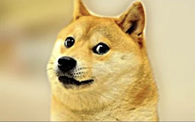 k.....m - > watchdoge

@NPC_358034: