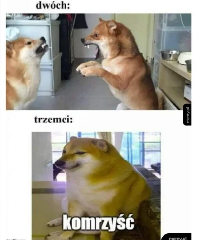 Jimothy - #heheszki #humorobrazkowy #cheems